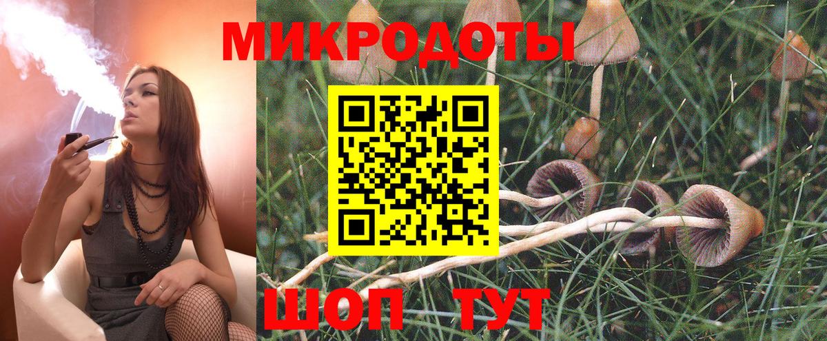 Псилоцибиновые грибы ЛСД  Галлюциногенные грибы мухоморы  Вход с VPN  где найти   Нижний Тагил 