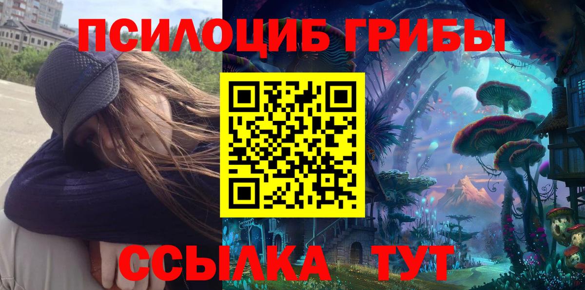 Галлюциногенные грибы Psilocybe Нижний Тагил